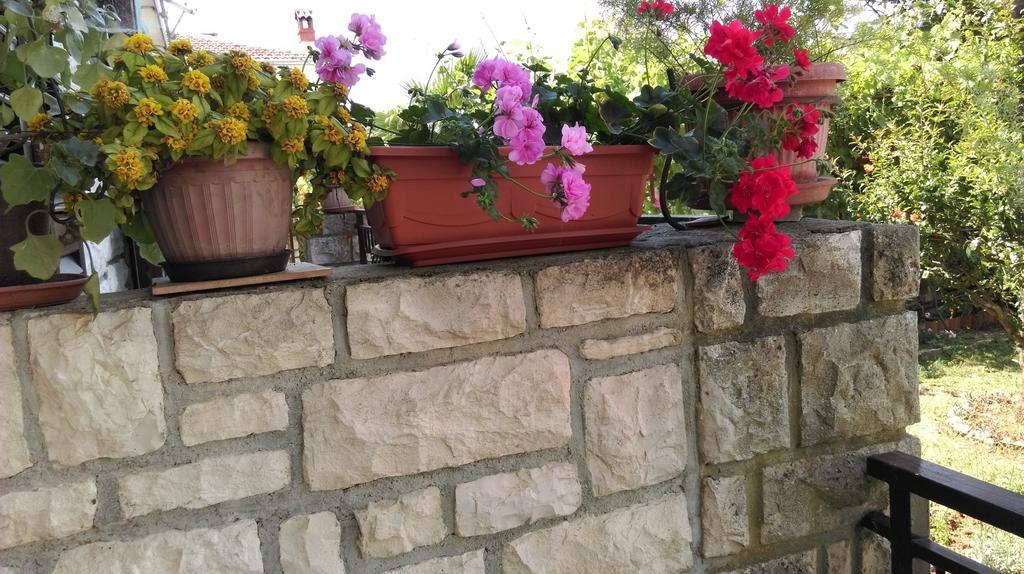 Apartments Ana Rovinj Exterior photo